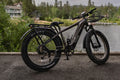 eBike Boys 52V 750W Adult eBike - 17AH Battery, Top Speed 32km/h